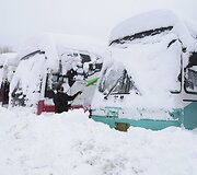 Apsnigti autobusai