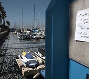 Ant skelbimų lentos lapelis su užra&scaron;u &bdquo;Parduodama žuvis, kurią galima valgyti. Tik &scaron;iandien!&ldquo;