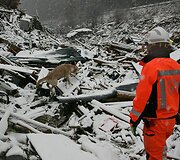 Gelbėtojas i&scaron; &Scaron;veicarijos su &scaron;unimi Minamisanriko mieste