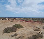 La Graciosa saloje