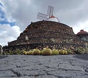 Kaktusų sodas