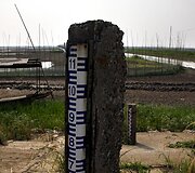 Vandens lygio matuoklis