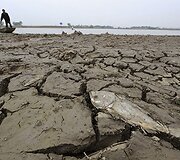 Negyva žuvis guli ant nusekusio Guihu ežero dugno