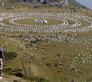 &bdquo;Baltosios brolijos&ldquo; nariai atlieka ritualinį &scaron;okį.