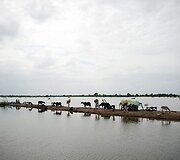 Potvynis Pakistane