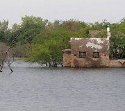 Potvynis Pakistane