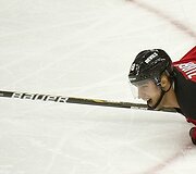 Dainius Zubrus