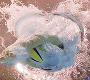 Rūta Meilutytė