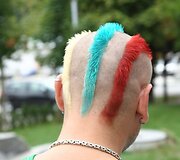 Sirgaliai Jesenicėse