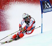 Planetos kalnų slidinėjimo taurės didžiojo slalomo rungtyje - amerikiečio triumfas