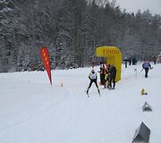 Ignalinoje vyko Vilmanto Gineito atminimo taurės slidinėjimo varžybos. 