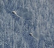 Vienos sunkiausių kalnų slidinėjimo varžybų Italijoje ir Austrijoje