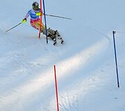 Amerikietei Lindsey Vonn &ndash; pirmasis sezono pasaulio taurės čempionės titulas  