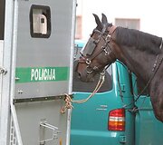 Lenkijos ir Olandijos futbolo sirgaliai prie S.Dariaus ir S.Girėno stadiono