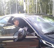 Martynas Pocius
