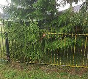 Audros padariniai Tel&scaron;iuose