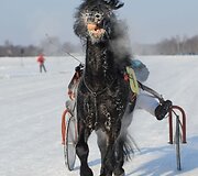Sartų lenktynės vyko jau 106-ąjį kartą
