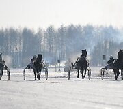 Sartų lenktynės vyko jau 106-ąjį kartą