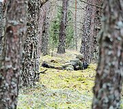 Antrakursiai pasiruo&scaron;ę deramai pasitikti puolantį &bdquo;prie&scaron;ą&ldquo;
