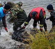 &bdquo;River Cleanup&ldquo; akcija