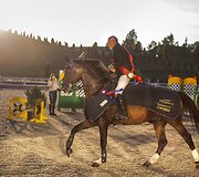 COVER Zigmantas &Scaron;arka ir Aster Suagusiųjų grupės čempionas