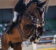 Suaugusiųjų grupės čempionas Zigmantas &Scaron;arka ir Aster