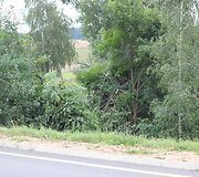 Įvykio vietoje