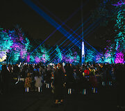 Kaune įvyko Fluxus festivalis