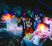 Kaune įvyko Fluxus festivalis