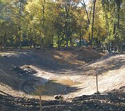 Bernardinų sode