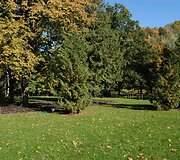 Bernardinų sode
