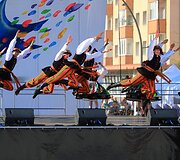 &Scaron;iaulių gimtadienis