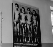 Au&scaron;vico koncentracijos stovykla
