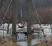 Ledone&scaron;is