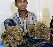 Abulas Bajandaras