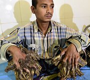 Abulas Bajandaras