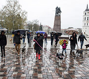 Ekskursija po Vilniaus senamiestį
