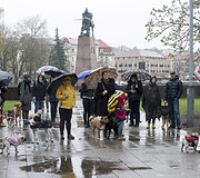 Ekskursija po Vilniaus senamiestį