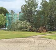 Vėtros padariniai Druskininkuose