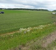 Avarija įvyko netoli Kalvarijos