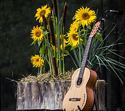 Festivalis &bdquo;A&scaron; toks vienas&ldquo; sukvietė muzikos mylėtojus