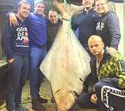 Lietuviai sugavo įspūdingą otą