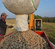 Bulvių sodinimo ma&scaron;ina i&scaron; karto gali sėti kelias vagas bulvių. Su ja lengvai galima pasėti 300 hektarų ploto ūkį