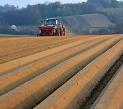 Bulvių sodinimo ma&scaron;ina i&scaron; karto gali sėti kelias vagas bulvių. Su ja lengvai galima pasėti 300 hektarų ploto ūkį