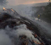 Kaliforniją niokojagaisrai