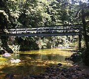 Lieptas netoli Marahau
