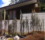 Vasarnamis nuo&scaron;aliame parke