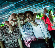 Vilniaus sporto ir kultūros festivalis