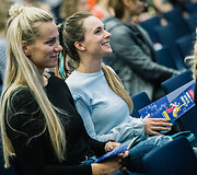 Vilniaus sporto ir kultūros festivalis