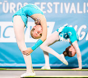 Vilniaus sporto ir kultūros festivalis